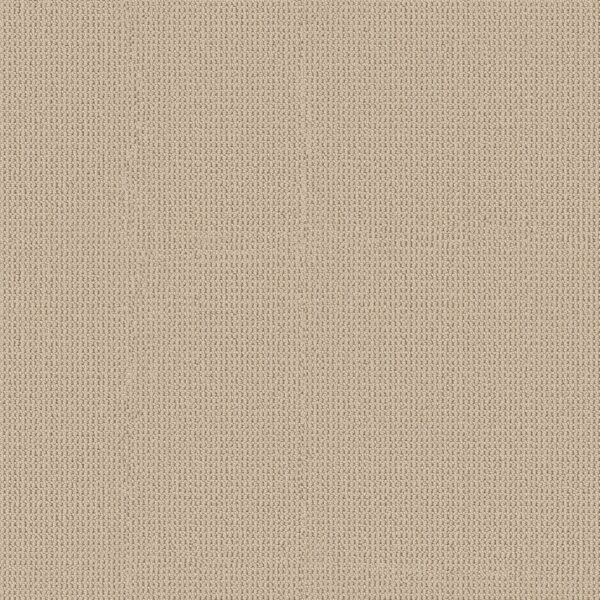 Anderson Tuftex Carpet Arden Park Parchment 00123_ZZ286