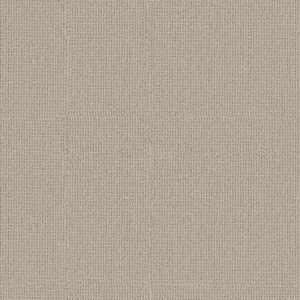 Anderson Tuftex Carpet Arden Park Linen 00153_ZZ286