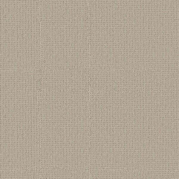 Anderson Tuftex Carpet Arden Park Linen 00153_ZZ286