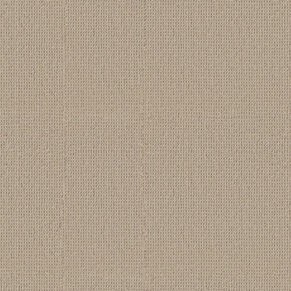 Anderson Tuftex Carpet Arden Park Authentic 00172_ZZ286