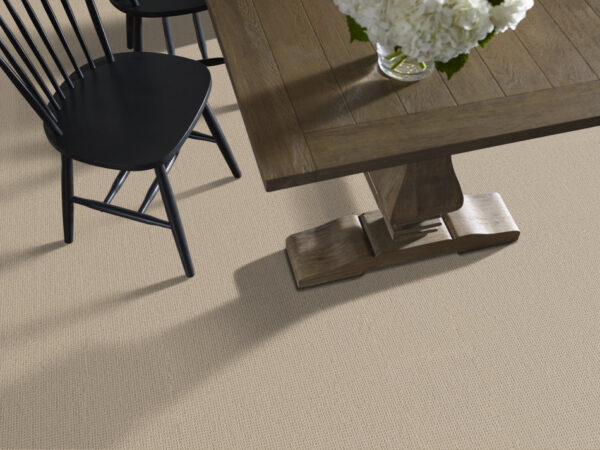 Anderson Tuftex Carpet Arden Park Authentic 00172_ZZ286 - Image 2