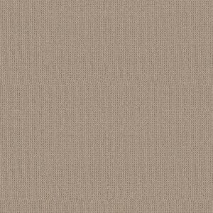 Anderson Tuftex Carpet Arden Park Sandstorm 00175_ZZ286