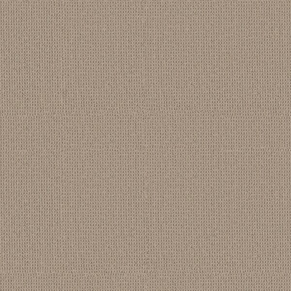 Anderson Tuftex Carpet Arden Park Sandstorm 00175_ZZ286