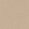 Anderson Tuftex Carpet Arden Park Gelato 00222_ZZ286