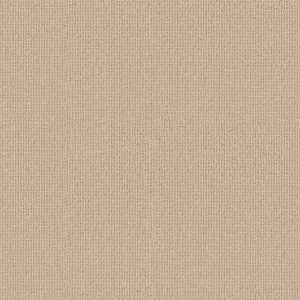 Anderson Tuftex Carpet Arden Park Gelato 00222_ZZ286