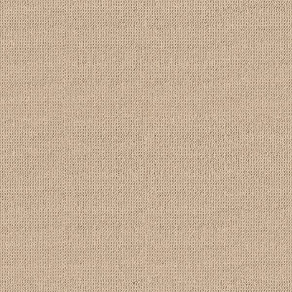 Anderson Tuftex Carpet Arden Park Gelato 00222_ZZ286