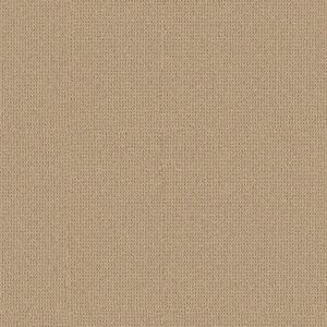Anderson Tuftex Carpet Arden Park Powdered Gold 00225_ZZ286
