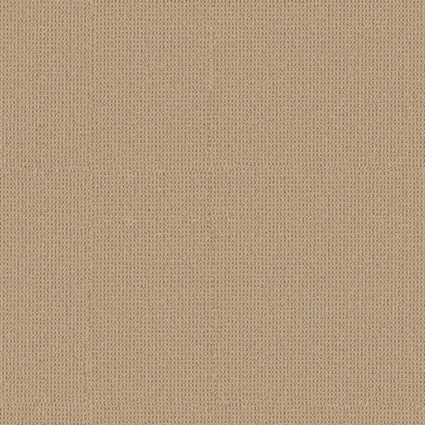 Anderson Tuftex Carpet Arden Park Powdered Gold 00225_ZZ286