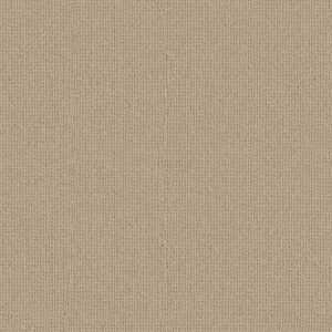 Anderson Tuftex Carpet Arden Park Marzipan 00272_ZZ286