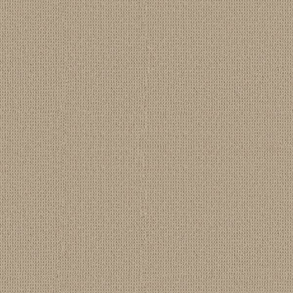 Anderson Tuftex Carpet Arden Park Marzipan 00272_ZZ286