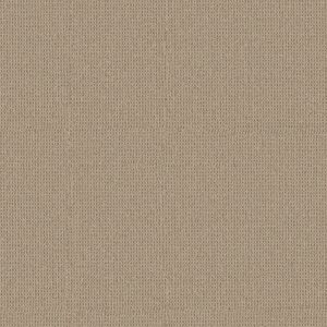Anderson Tuftex Carpet Arden Park Nutshell 00273_ZZ286