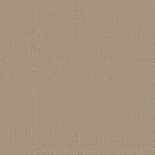 Anderson Tuftex Carpet Arden Park Nutshell 00273_ZZ286