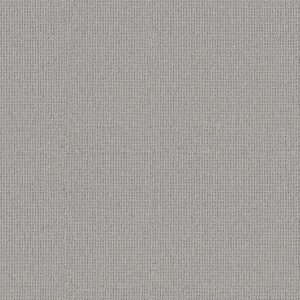 Anderson Tuftex Carpet Arden Park Lunar 00543_ZZ286