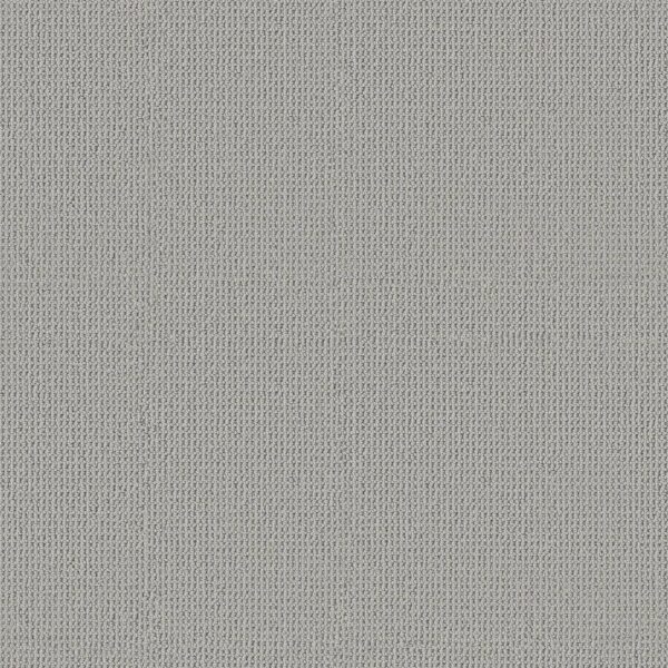 Anderson Tuftex Carpet Arden Park Lunar 00543_ZZ286
