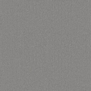 Anderson Tuftex Carpet Arden Park Tin Foil 00545_ZZ286