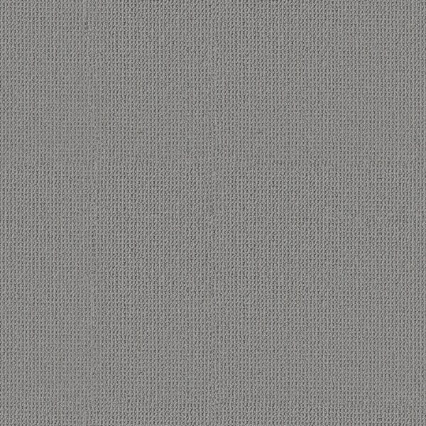 Anderson Tuftex Carpet Arden Park Tin Foil 00545_ZZ286