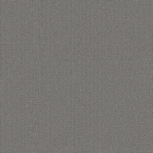 Anderson Tuftex Carpet Arden Park Stormy 00547_ZZ286