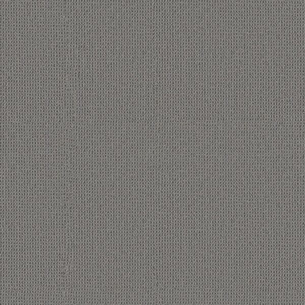 Anderson Tuftex Carpet Arden Park Stormy 00547_ZZ286