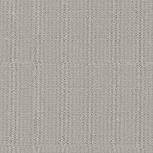 Anderson Tuftex Carpet Arden Park Cloudy Day 00551_ZZ286