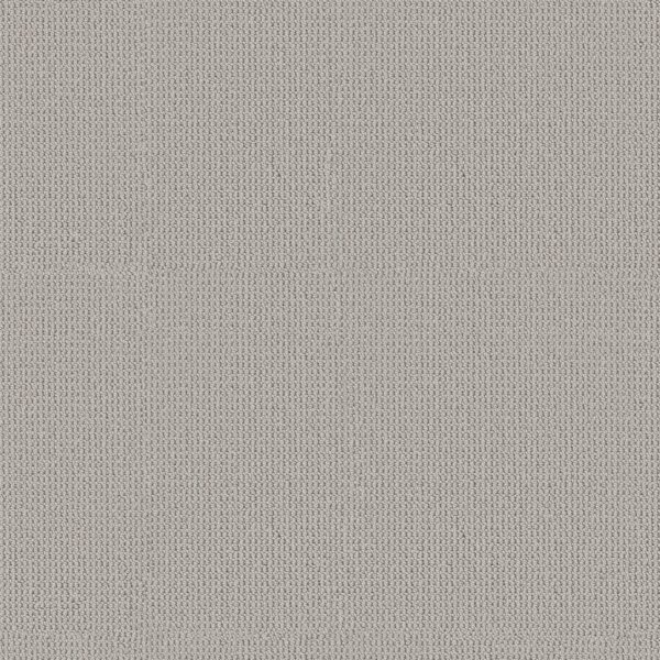 Anderson Tuftex Carpet Arden Park Cloudy Day 00551_ZZ286