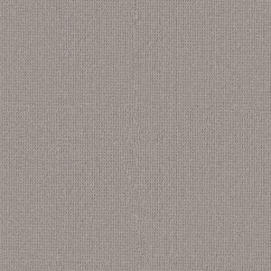 Anderson Tuftex Carpet Arden Park Metalwork 00553_ZZ286