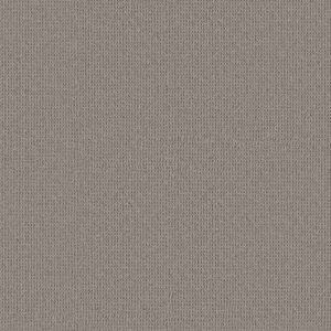 Anderson Tuftex Carpet Arden Park Evening Haze 00556_ZZ286