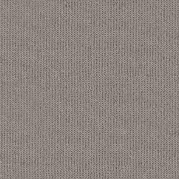 Anderson Tuftex Carpet Arden Park Evening Haze 00556_ZZ286