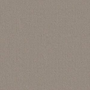 Anderson Tuftex Carpet Arden Park Heirloom 00754_ZZ286