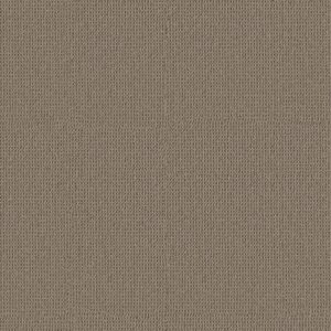 Anderson Tuftex Carpet Arden Park Taupe Gray 00757_ZZ286