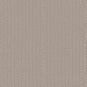 Anderson Tuftex Carpet Always Natural Muslin 00172_ZZ289