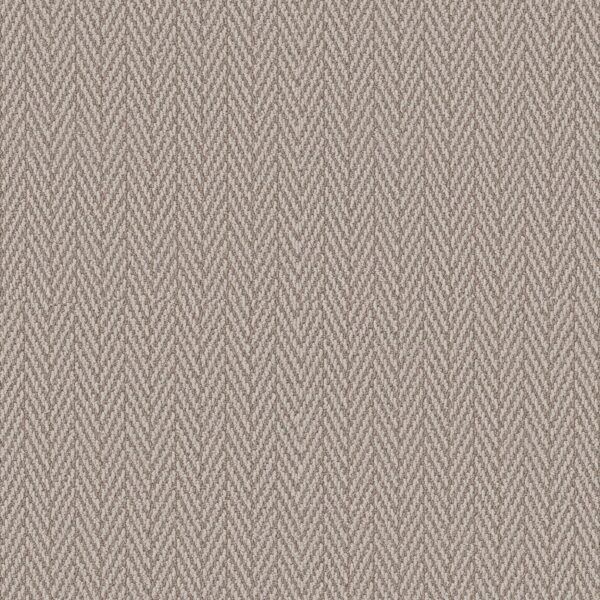 Anderson Tuftex Carpet Always Natural Muslin 00172_ZZ289