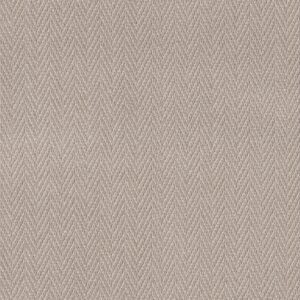 Anderson Tuftex Carpet Always Natural Twine 00173_ZZ289