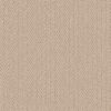 Anderson Tuftex Carpet Always Natural Boutique 00224_ZZ289
