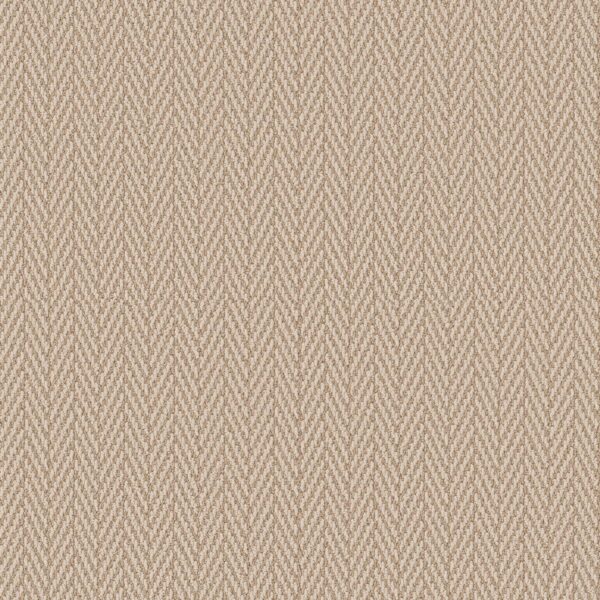 Anderson Tuftex Carpet Always Natural Boutique 00224_ZZ289