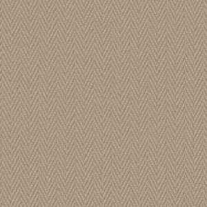 Anderson Tuftex Carpet Always Natural Cork 00273_ZZ289