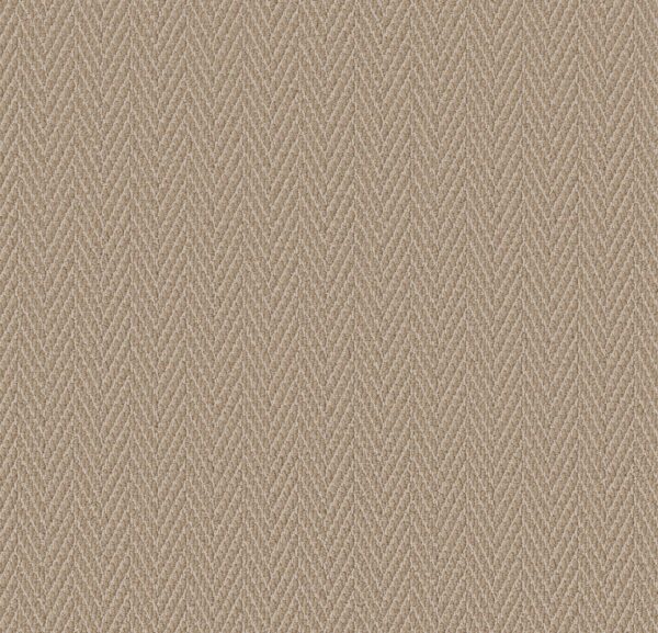 Anderson Tuftex Carpet Always Natural Cork 00273_ZZ289