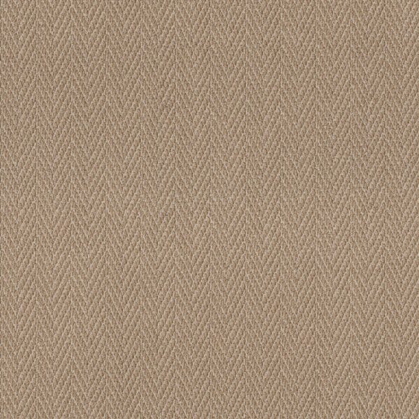 Anderson Tuftex Carpet Always Natural Sailcloth 00275_ZZ289