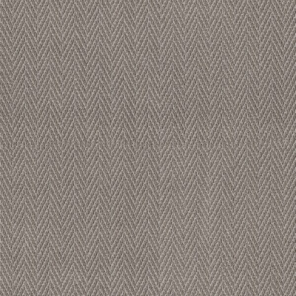 Anderson Tuftex Carpet Always Natural Shady 00536_ZZ289