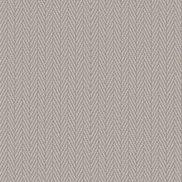 Anderson Tuftex Carpet Always Natural Foggy 00542_ZZ289