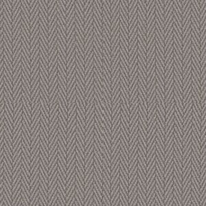 Anderson Tuftex Carpet Always Natural Silver Polish 00546_ZZ289