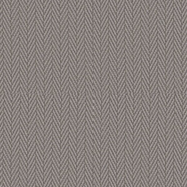 Anderson Tuftex Carpet Always Natural Silver Polish 00546_ZZ289