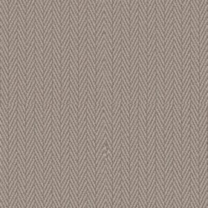 Anderson Tuftex Carpet Always Natural Fossil 00753_ZZ289