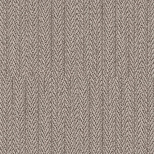 Anderson Tuftex Carpet Always Natural Fossil 00753_ZZ289