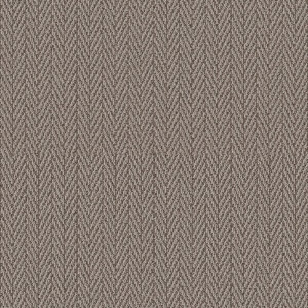 Anderson Tuftex Carpet Always Natural Barrel 00755_ZZ289
