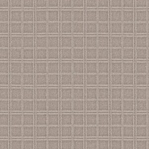 Anderson Tuftex Carpet Breeze Block Muslin 00172_ZZ291