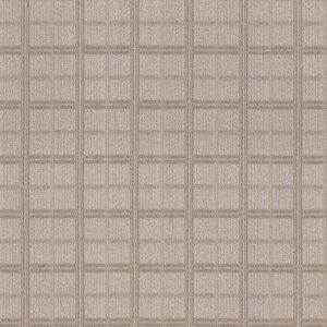 Anderson Tuftex Carpet Breeze Block Twine 00173_ZZ291