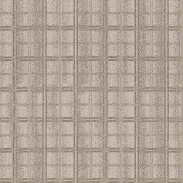 Anderson Tuftex Carpet Breeze Block Twine 00173_ZZ291