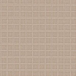 Anderson Tuftex Carpet Breeze Block Boutique 00224_ZZ291