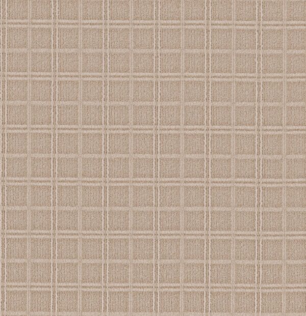 Anderson Tuftex Carpet Breeze Block Boutique 00224_ZZ291