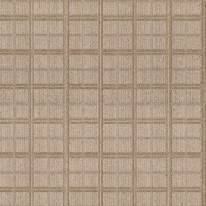 Anderson Tuftex Carpet Breeze Block Cork 00273_ZZ291